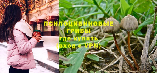 амф Мегион