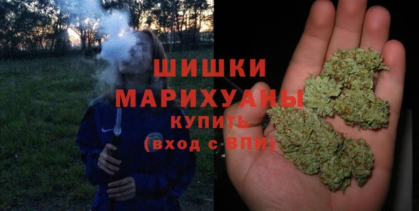 амф Мегион