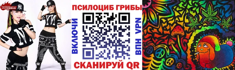 Псилоцибиновые грибы Cubensis  Чита 